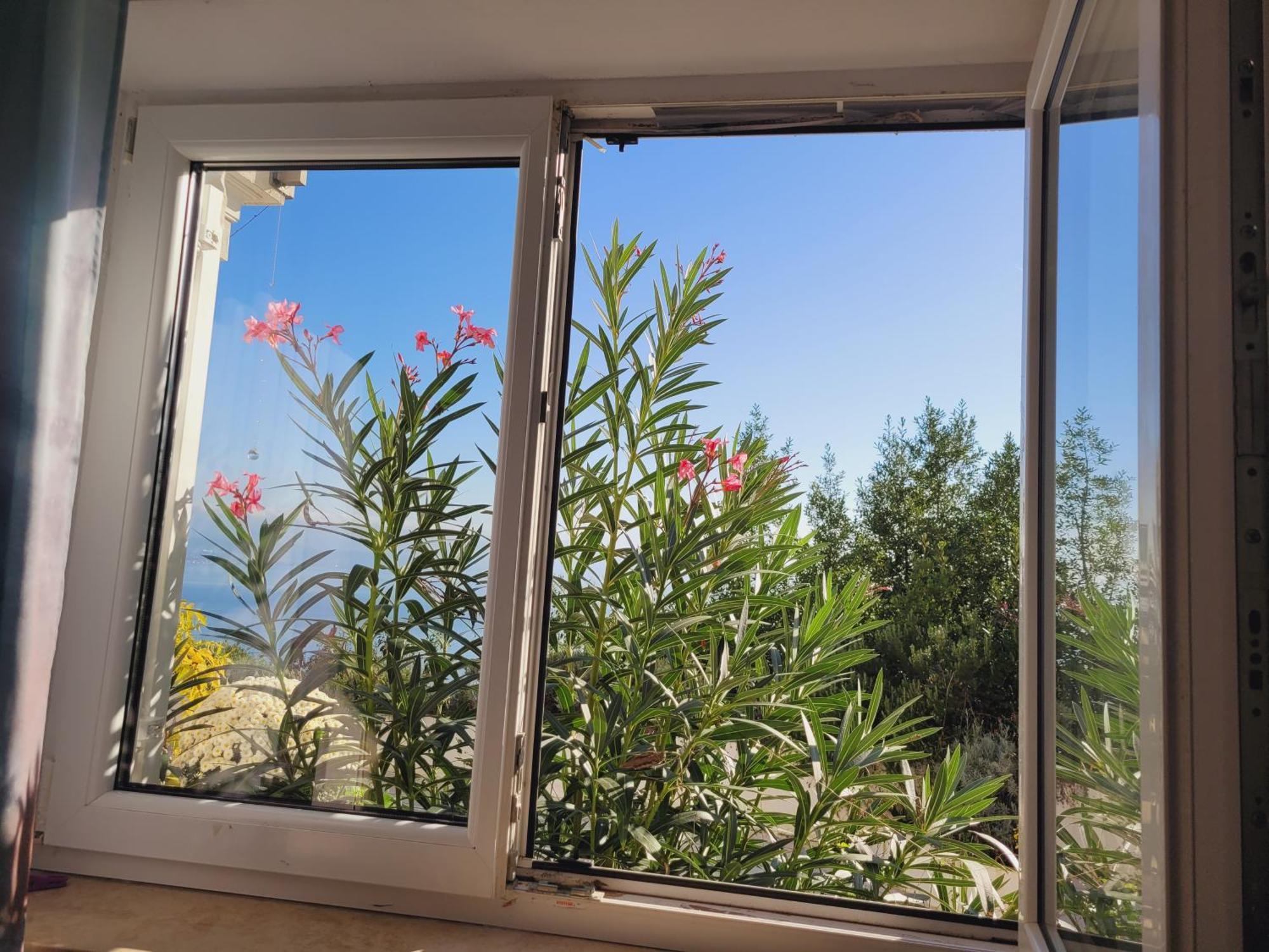 Apartments Chiara Mit Meerblick Und Pool Und Jacuzzi Lovran Exteriér fotografie